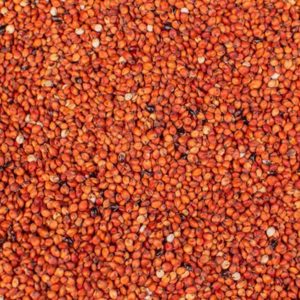 gore overseas import export