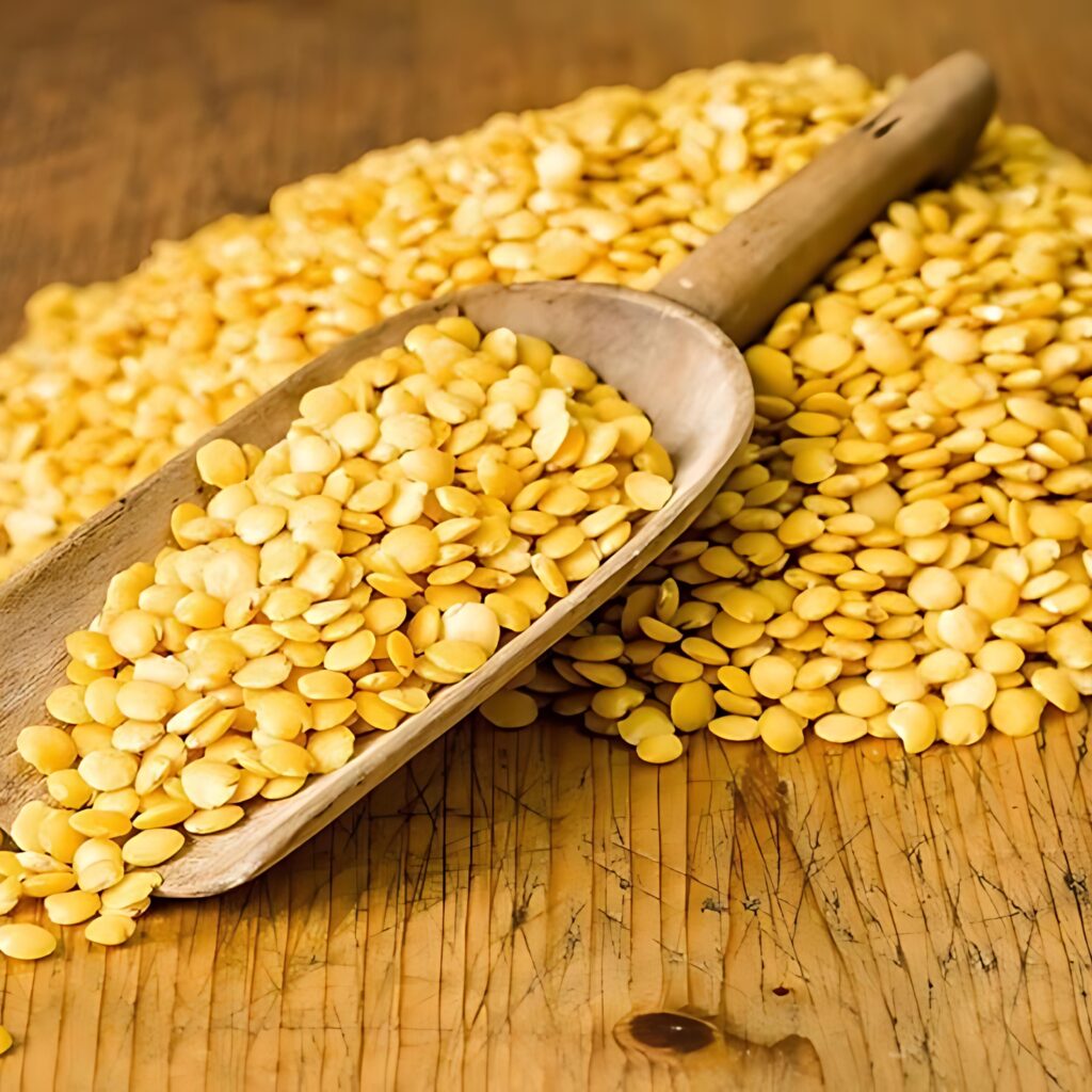 gore overseas import export