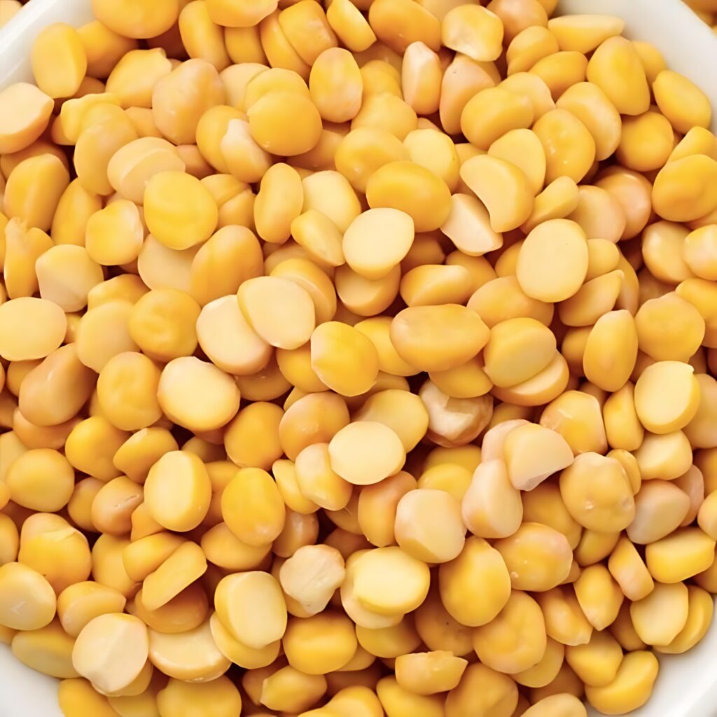 gore overseas import export