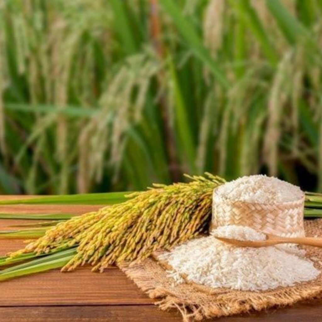 gore overseas import export