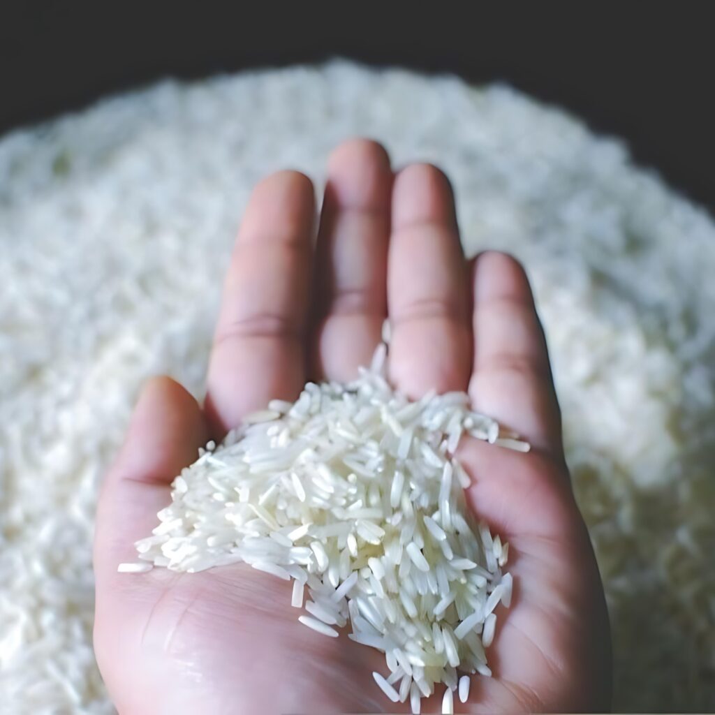 gore overseas import export