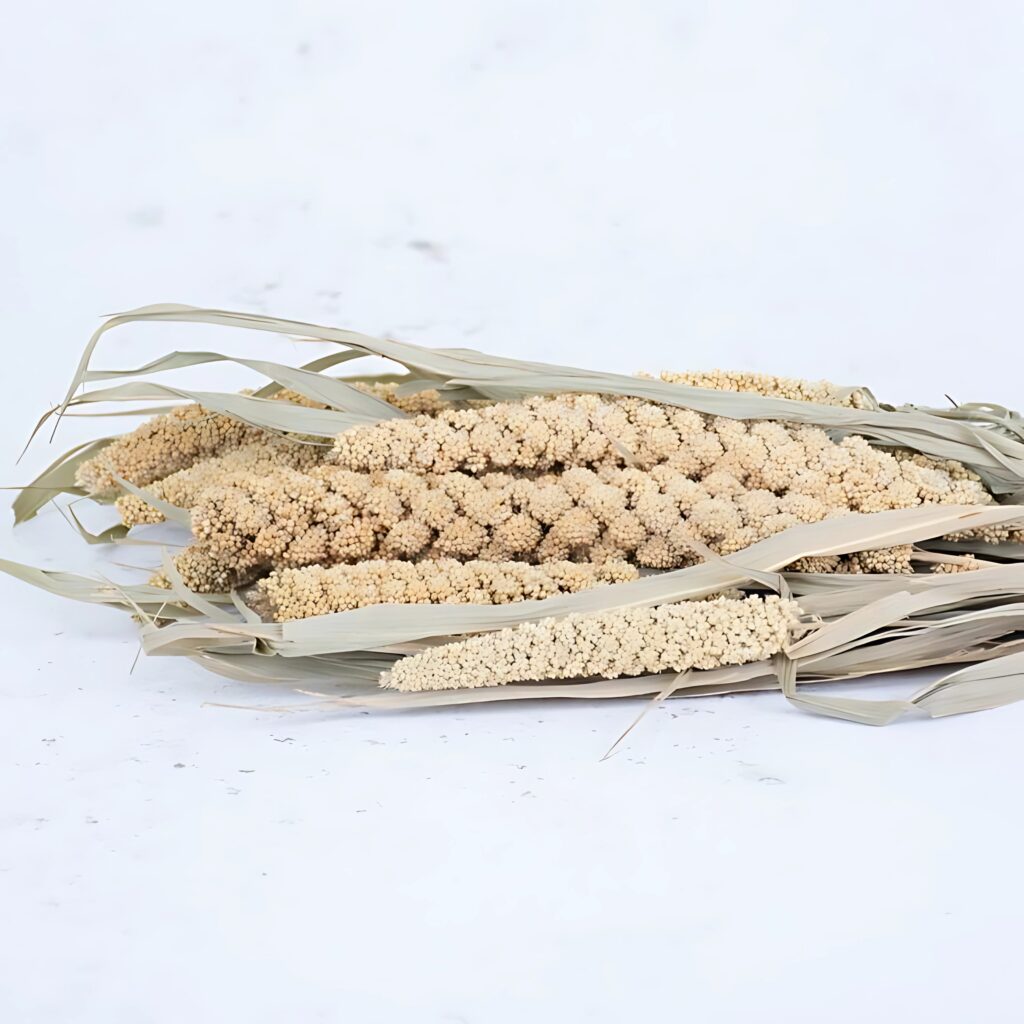 gore overseas import export