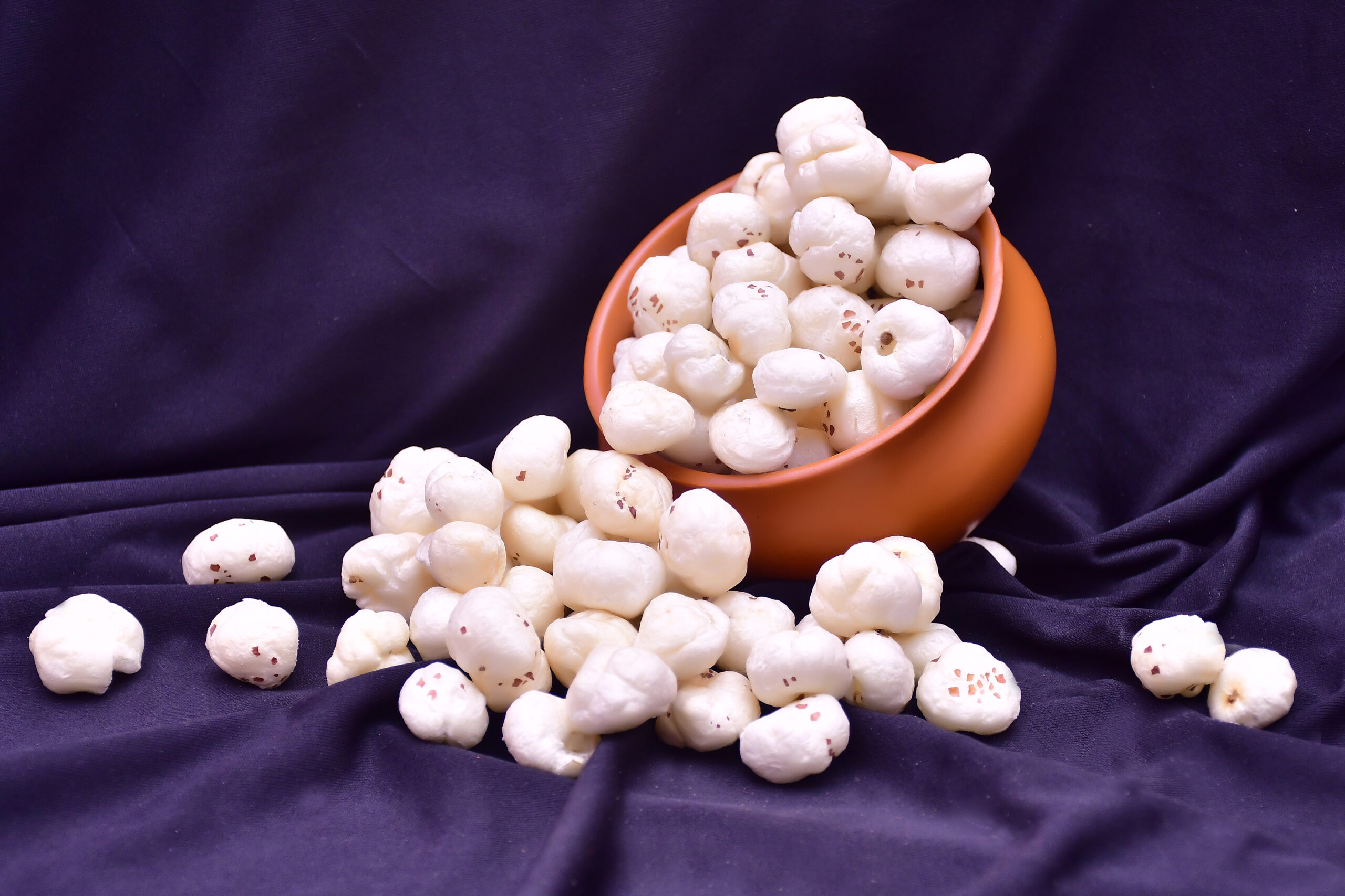 gore overseas import export of makhhana and garments from india