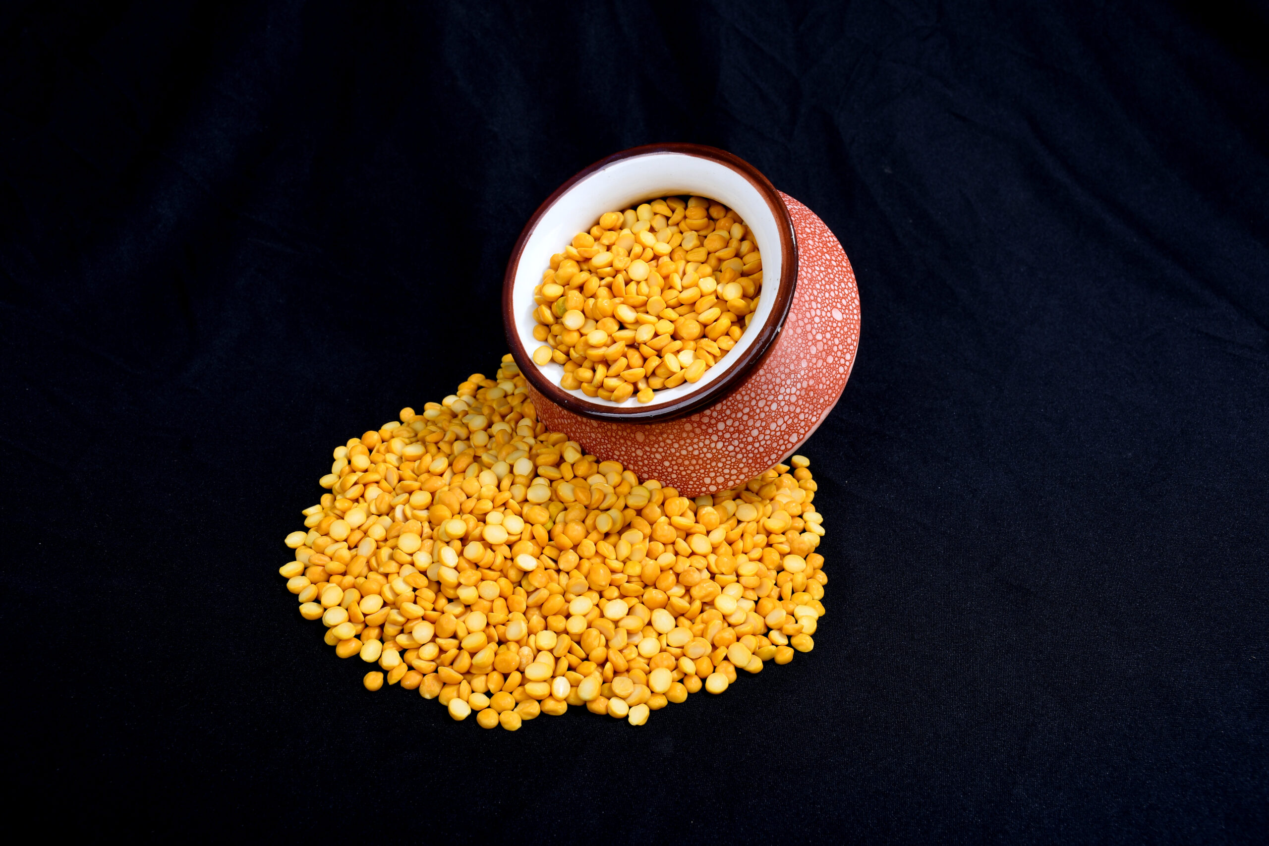 gore overseas import export