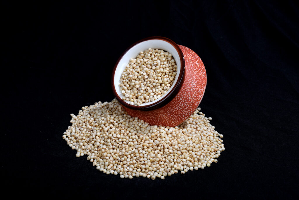 gore overseas import export