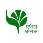 WhatsApp Image 2025-09-21 at 13.34.12_348a870d